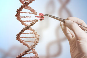 Razvoj genetskih testov